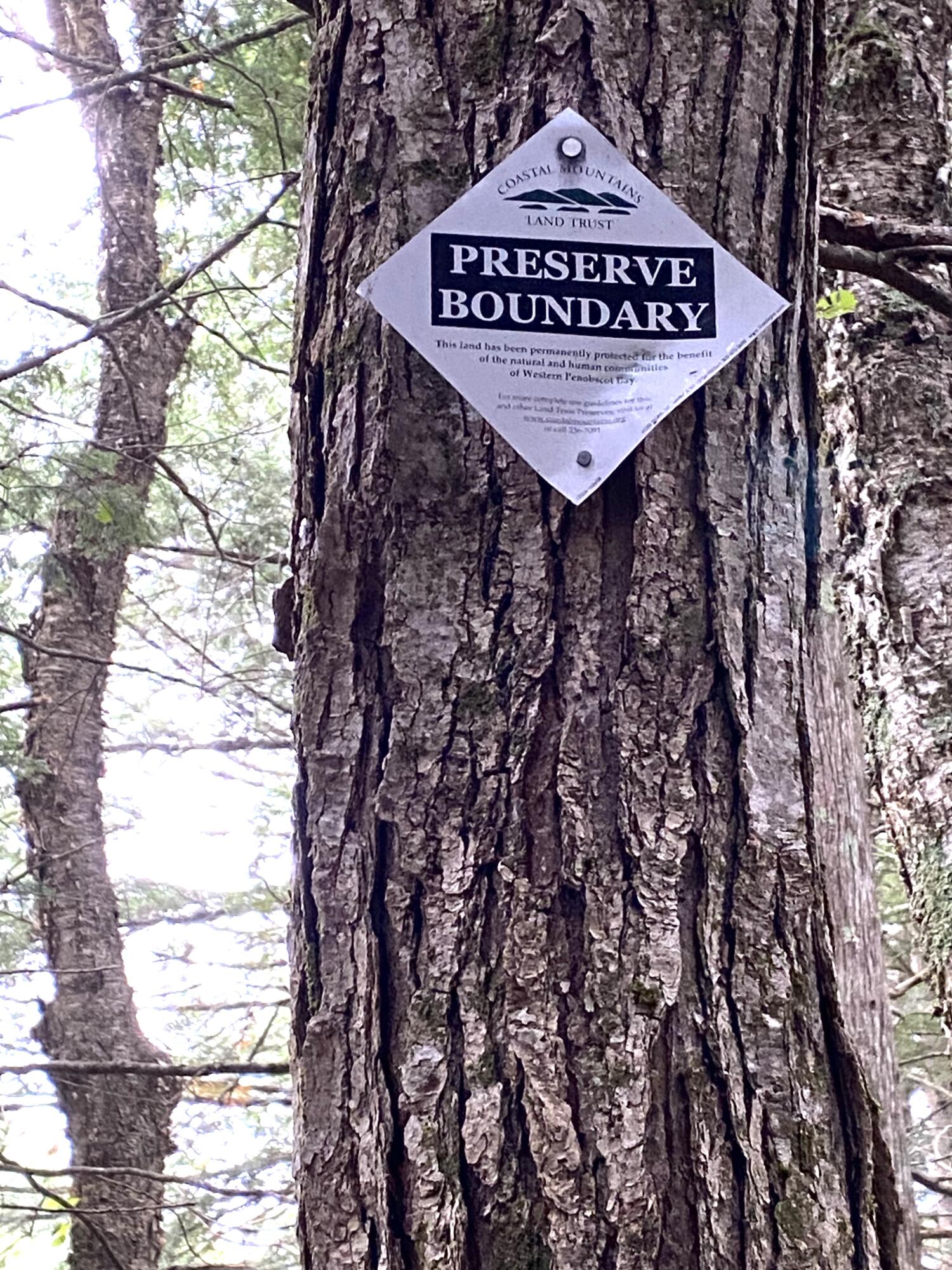 28 Lupine Road Belfast, ME 04915 - Photo 30 of 30 Lupine Road Preserve sign
