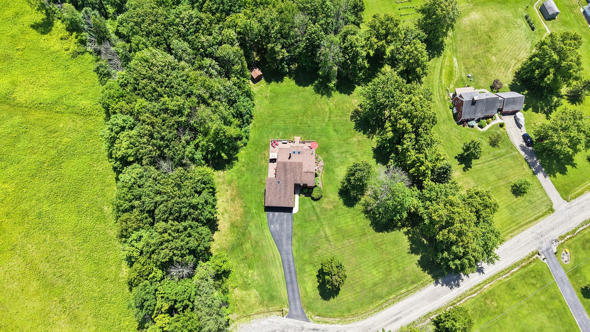 786 Harnecky Road Newark Valley, NY 13811 - Photo 5 of 50