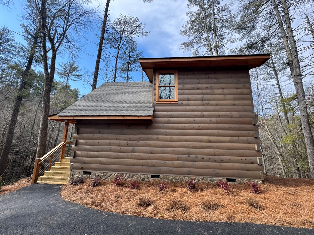 846 Joann Sisson Road Blue Ridge, GA 30513 - Photo 19 of 39 Gallery Image 19
