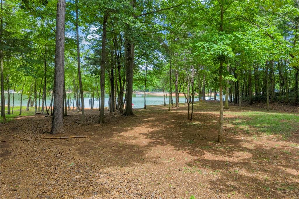 397 Normandy Trail Lavonia, GA 30553 - Photo 46 of 47 a view of park space