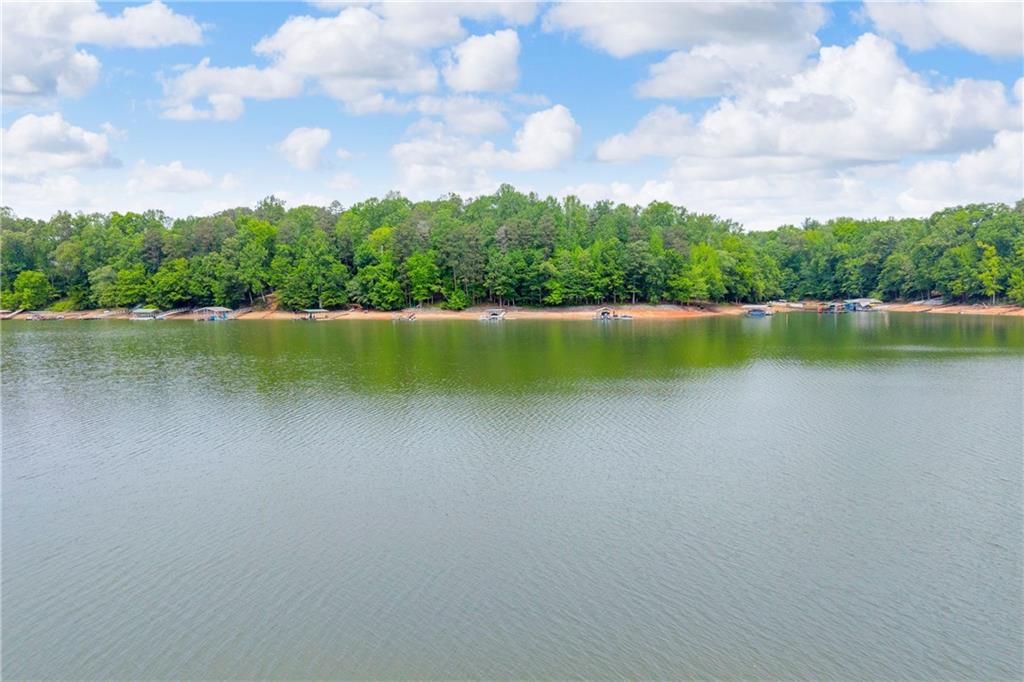 397 Normandy Trail Lavonia, GA 30553 - Photo 47 of 47 a view of a lake