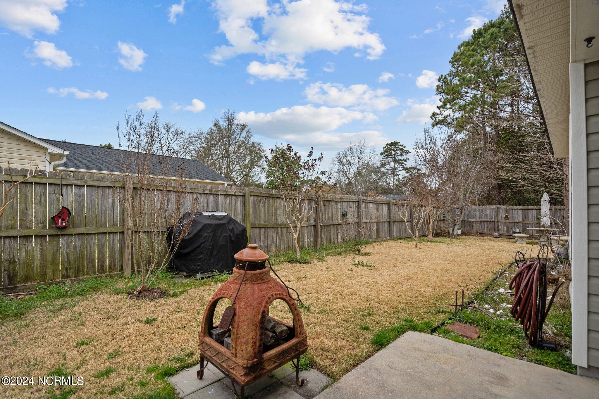 3015 Harvest Road Castle Hayne, NC 28429 - Photo 54 of 72 46-web-or-mls-DSC01140