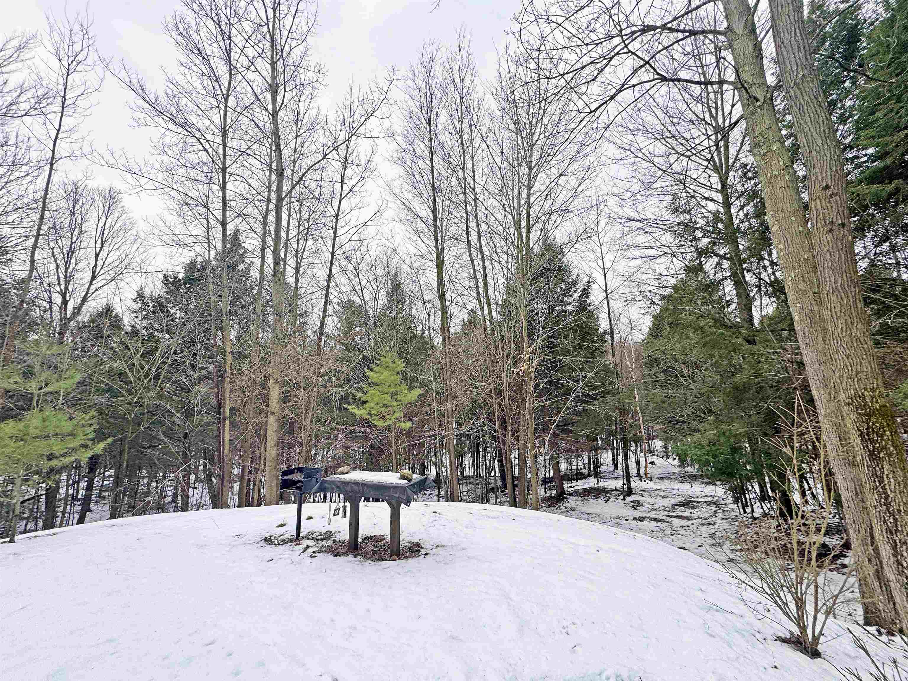 82-107 Moon Ridge Road, Unit LOT: 82,107 Onekama, MI 49675 - Photo 10 of 48