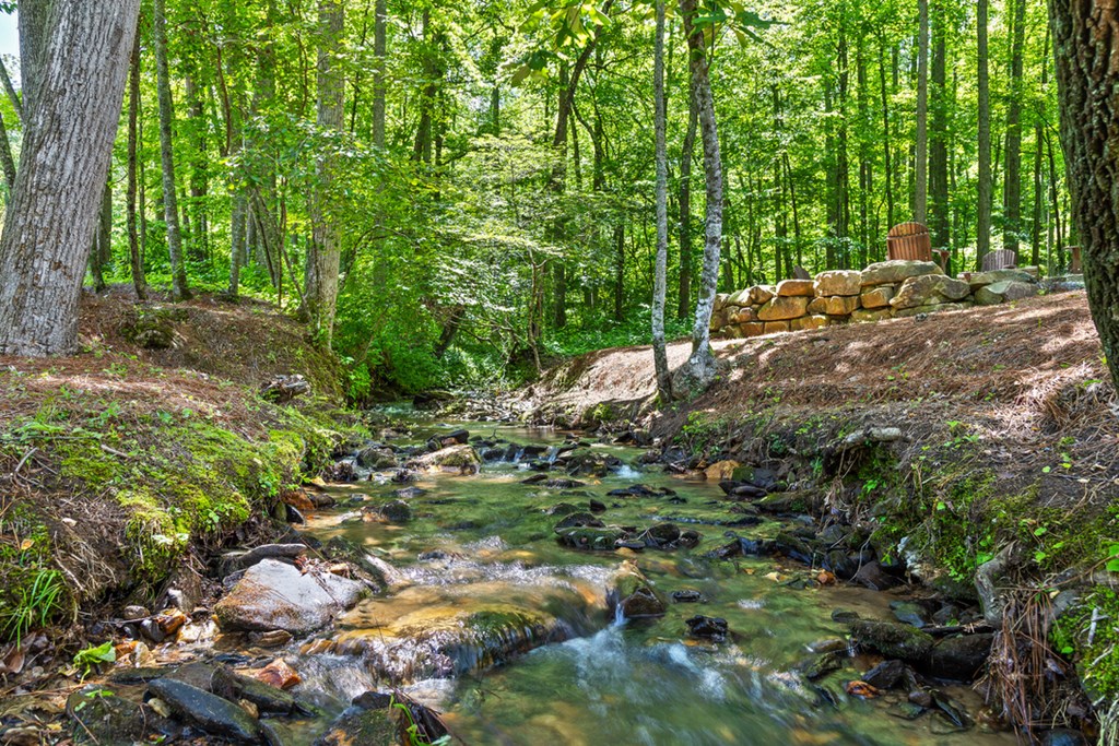 Lot 414 Calloway Mountain Road Talking Rock, GA 30175 - Photo 14 of 25