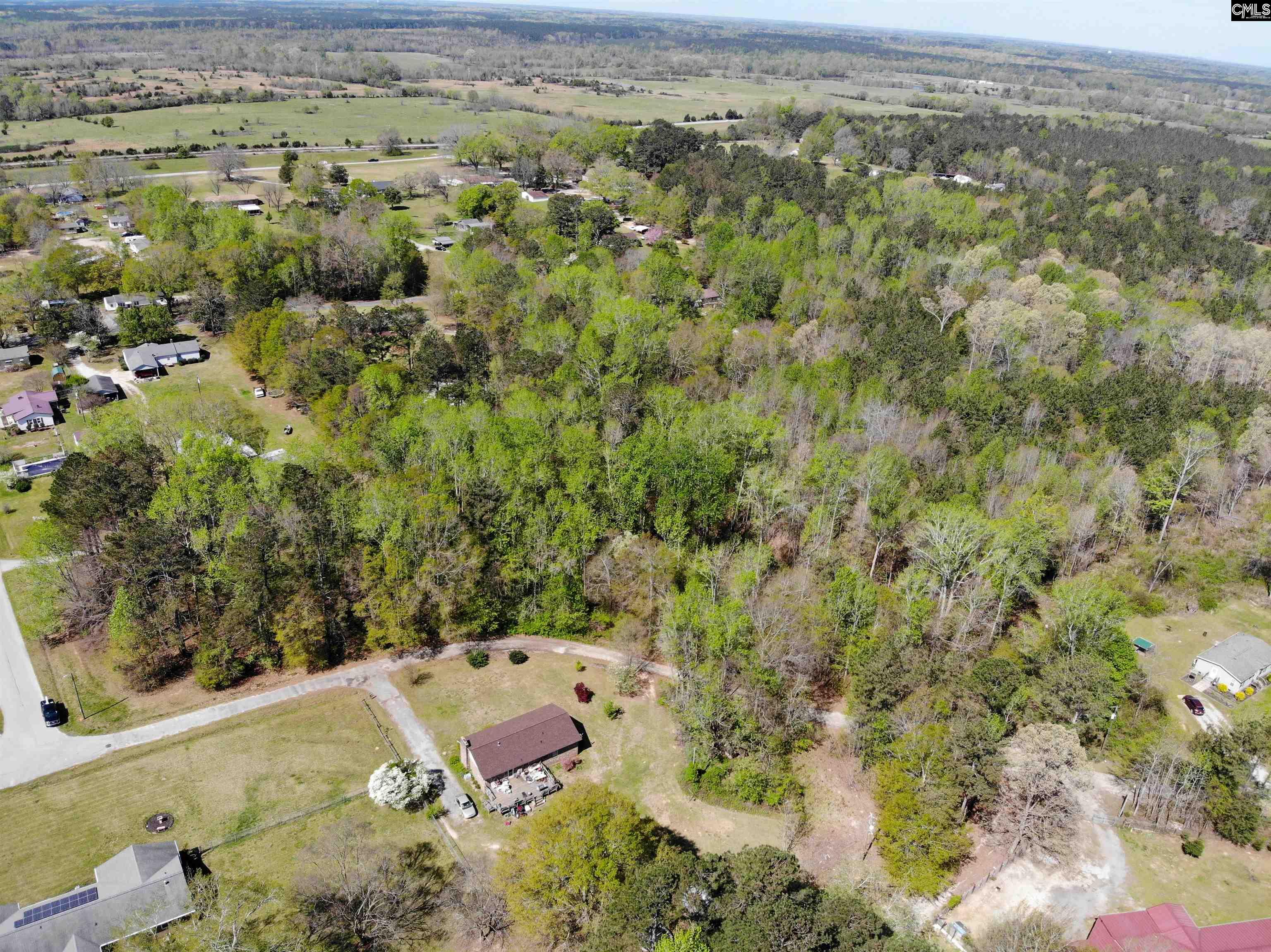 Tbd James Road Joanna, SC 29351 - Photo 68 of 82
