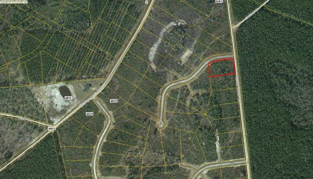 Lot 36 Buster Walker Road Waynesville, GA 31566 - Photo 1 of 1 Gallery Image 1