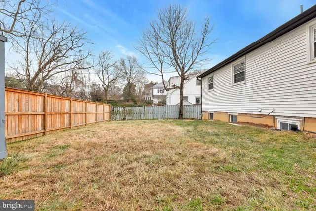 a view of backyard and trees