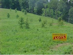 381 County Home Road, Unit 3 Blountville, TN 37617 - Photo 1 of 1 Photo 1