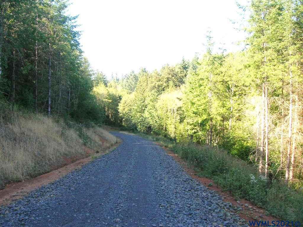 Robinette ( 3) Road St. Helens, OR 97051 - Photo 4 of 4