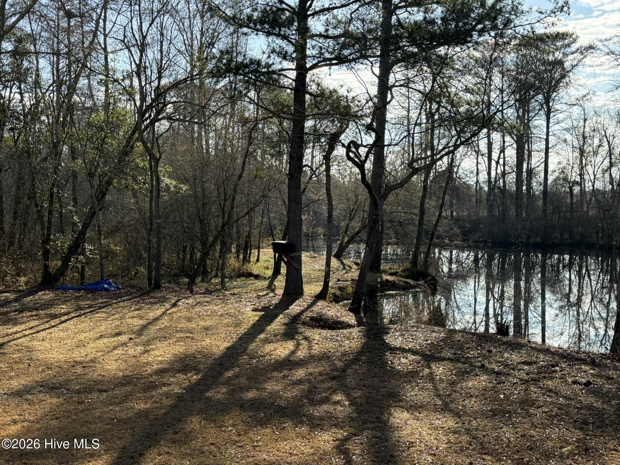 103 Raccoon Washington, NC 27889 - Photo 3 of 8 IMG_1050