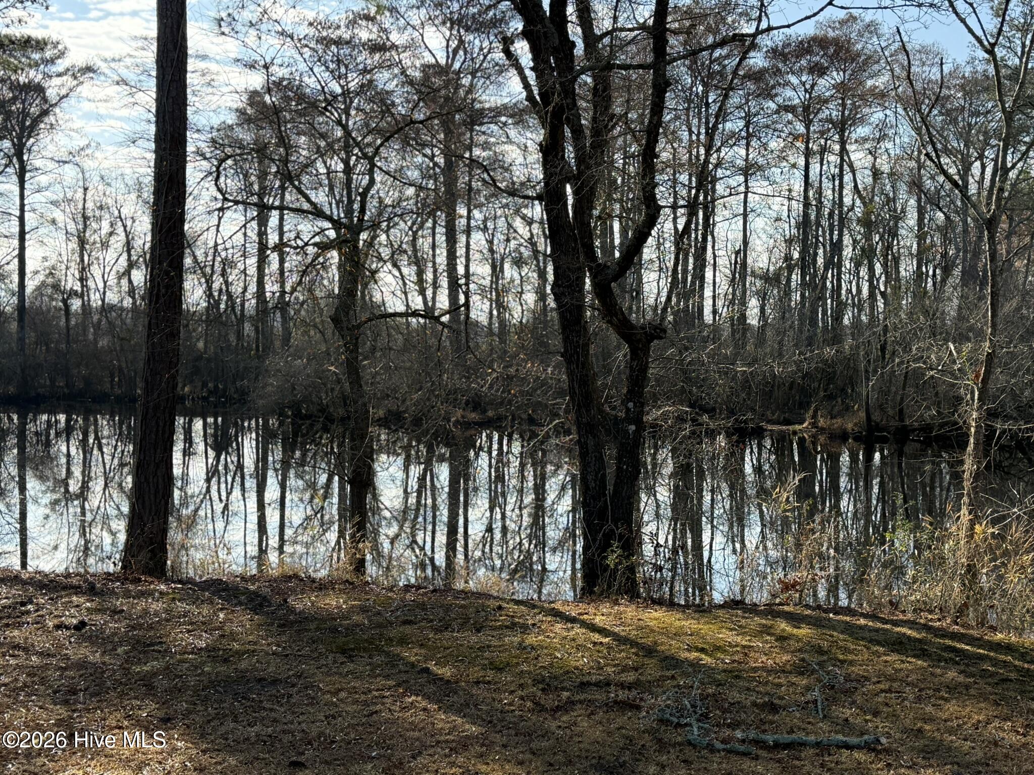 103 Raccoon Washington, NC 27889 - Photo 4 of 8 IMG_1051