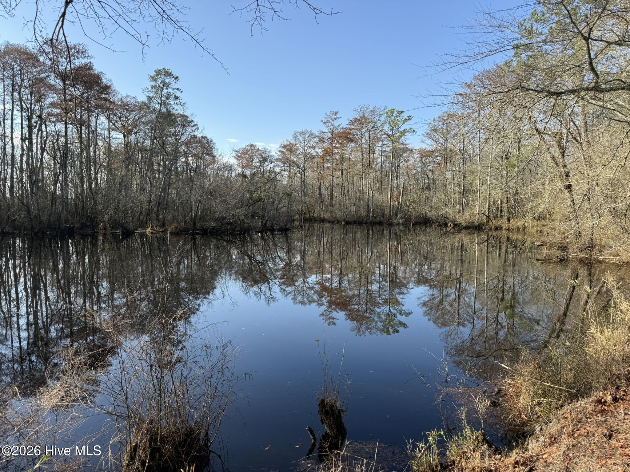 103 Raccoon Washington, NC 27889 - Photo 6 of 8 IMG_1055