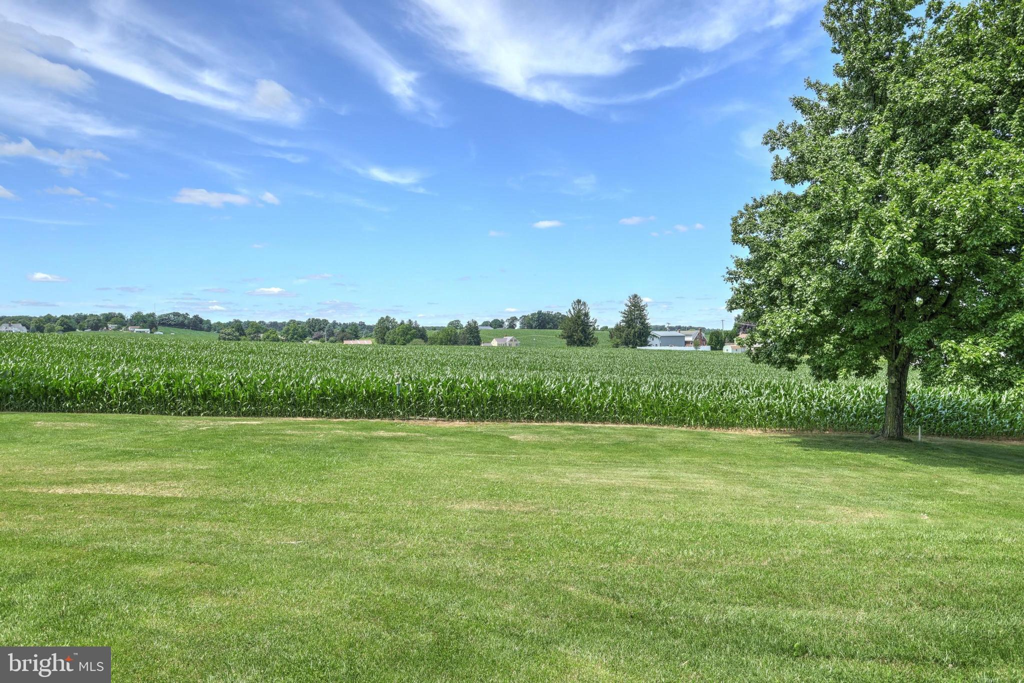 3986 Brownton Road Felton, PA 17322 - Photo 25 of 33