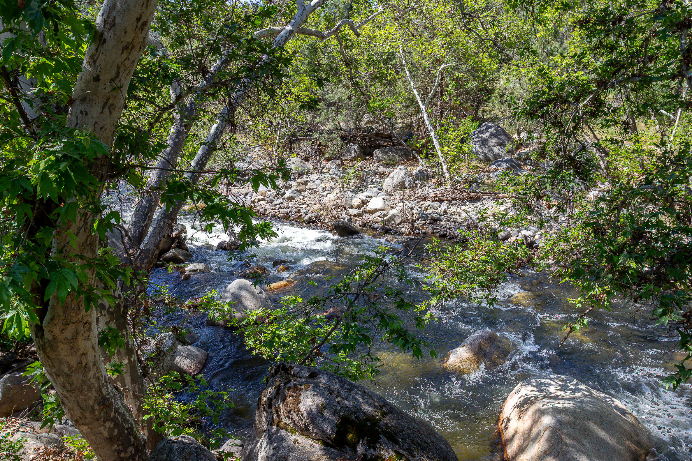 47993 North Fork Drive Three Rivers, CA 93271 - Photo 13 of 46 IMG_2000-HDR