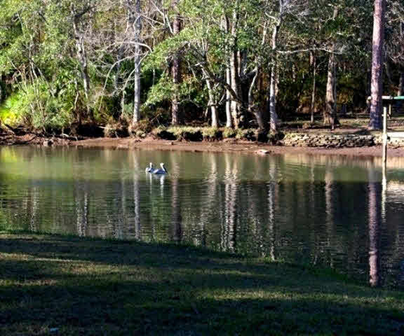 7873 Riverwood Drive Foley, AL 36535 - Photo 24 of 25 Riverview