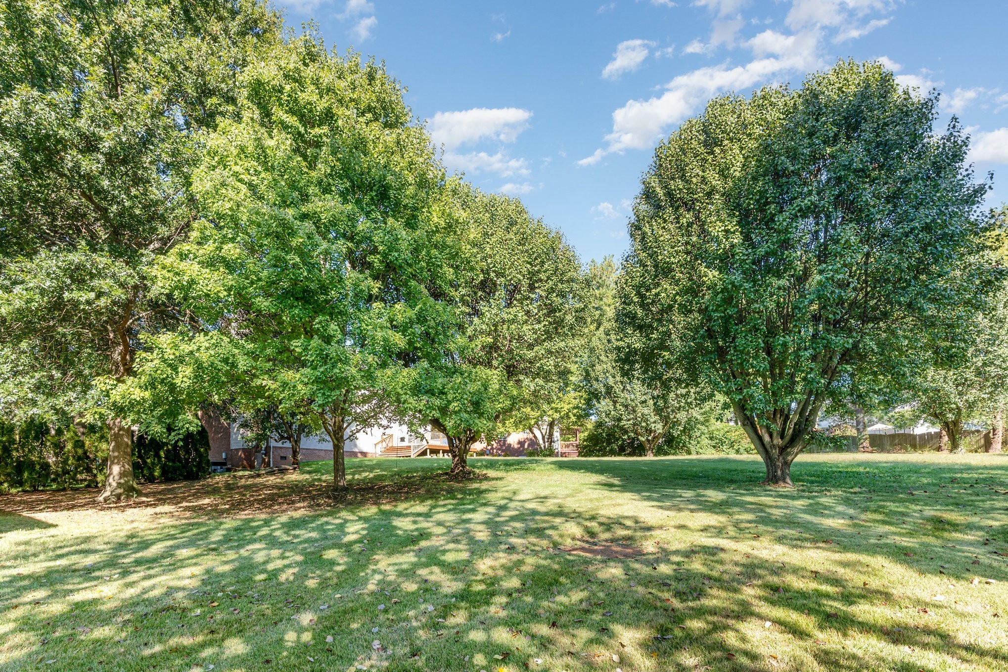 224 Logans Circle Franklin, TN 37067 - Photo 35 of 41 a tree in the middle of a yard