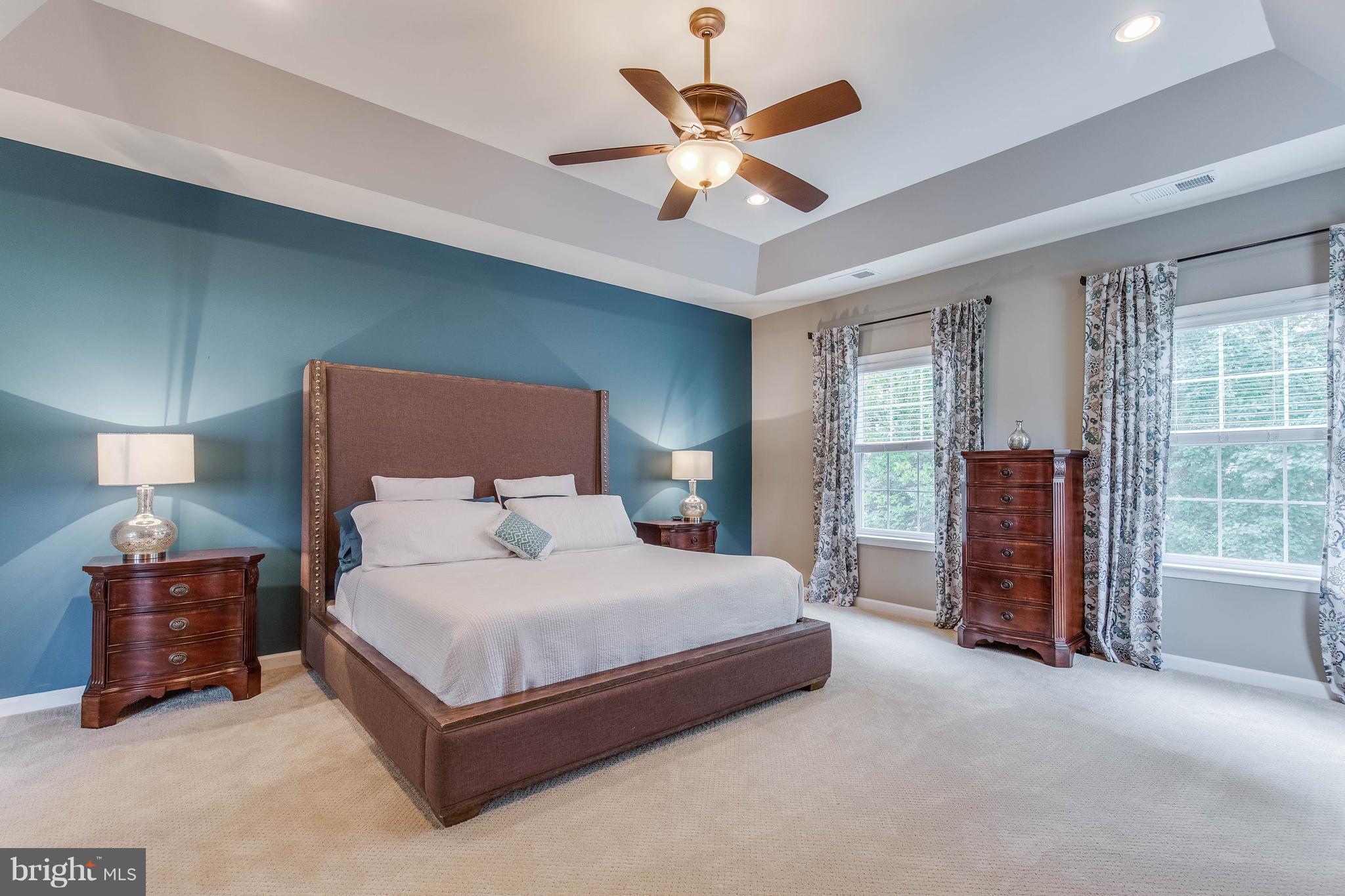 41848 Rawnsley Drive Ashburn, VA 20148 - Photo 15 of 30 Master Suite with Tray Ceiling