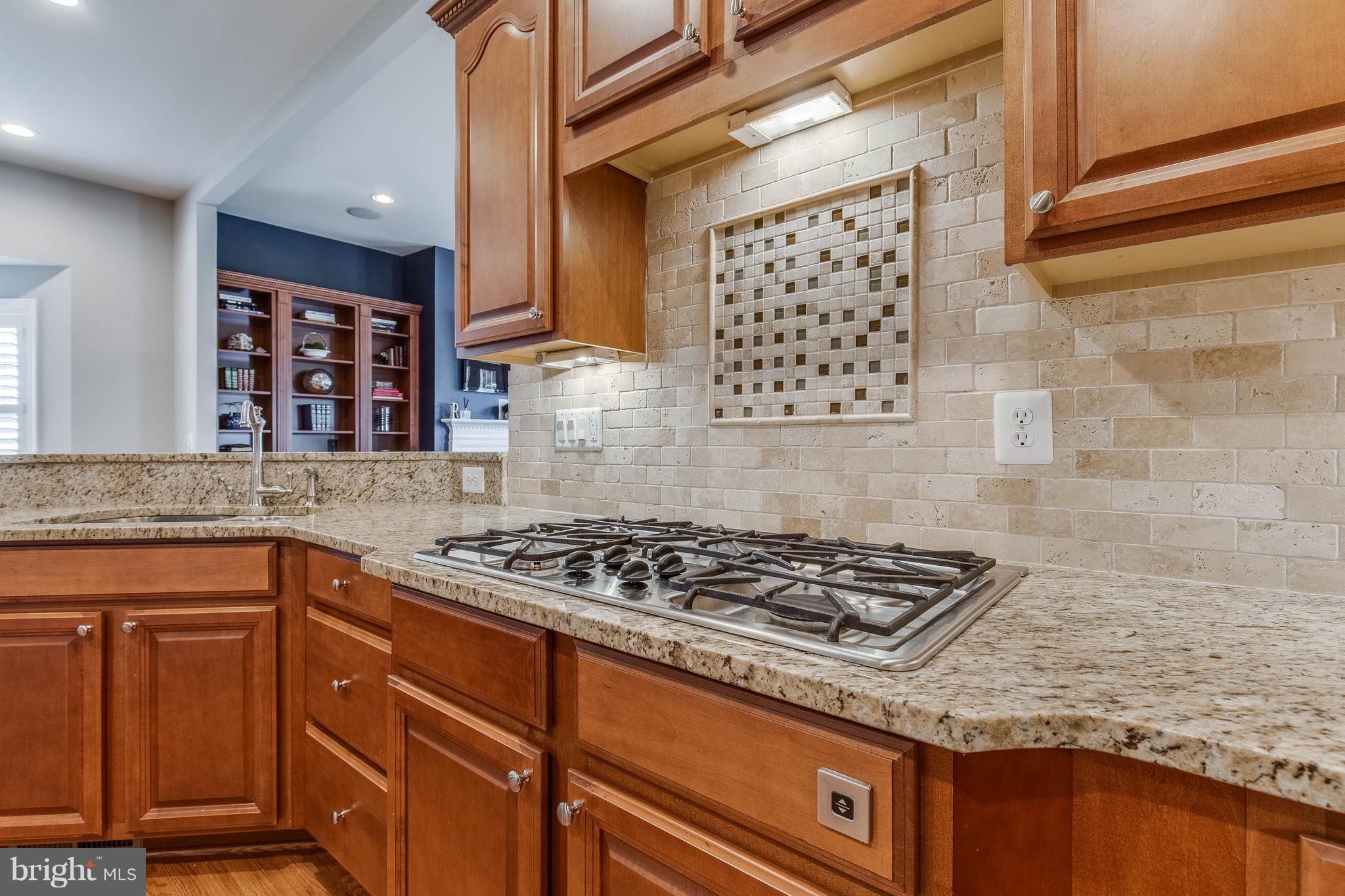 41848 Rawnsley Drive Ashburn, VA 20148 - Photo 5 of 30 Gourmet Kitchen with Granite Counters