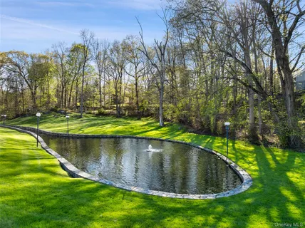 a view of a park with large trees