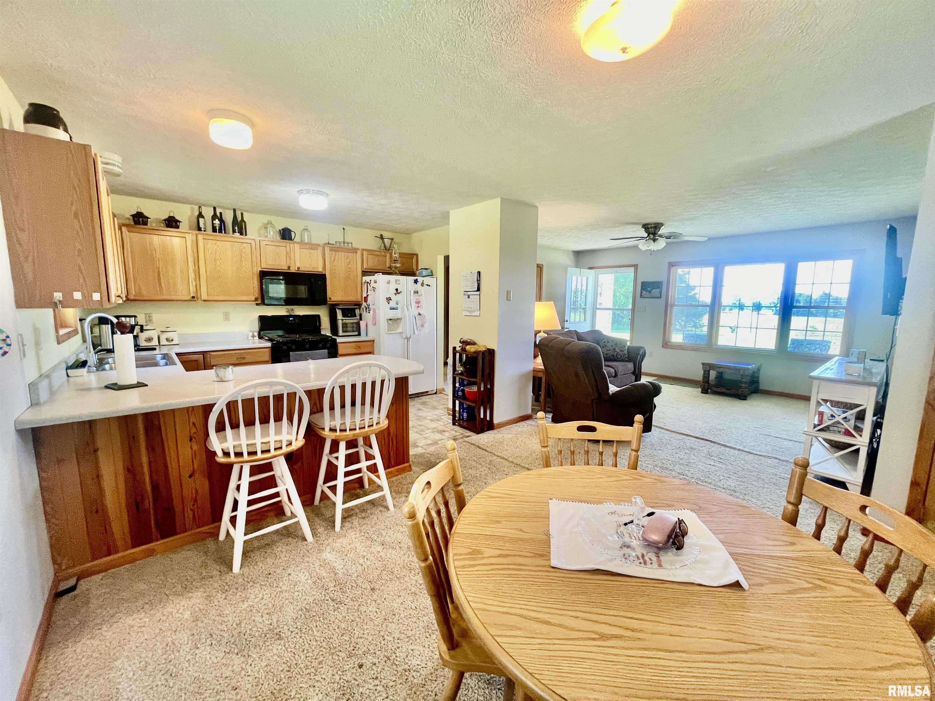 4841 Rosebud Road Metropolis, IL 62960 - Photo 21 of 53