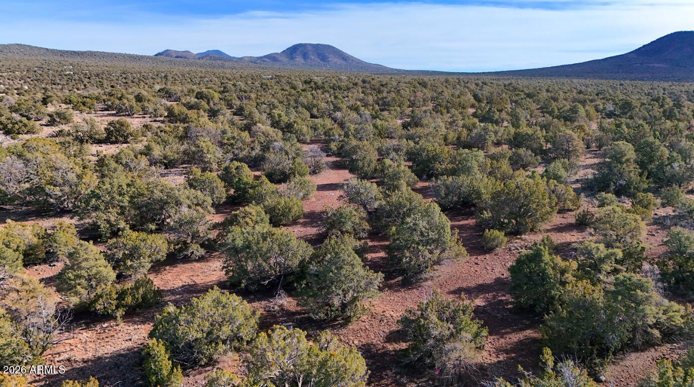 731 East Snowdrift Road, Unit 248 Williams, AZ 86046 - Photo 1 of 9 Gallery Image 1