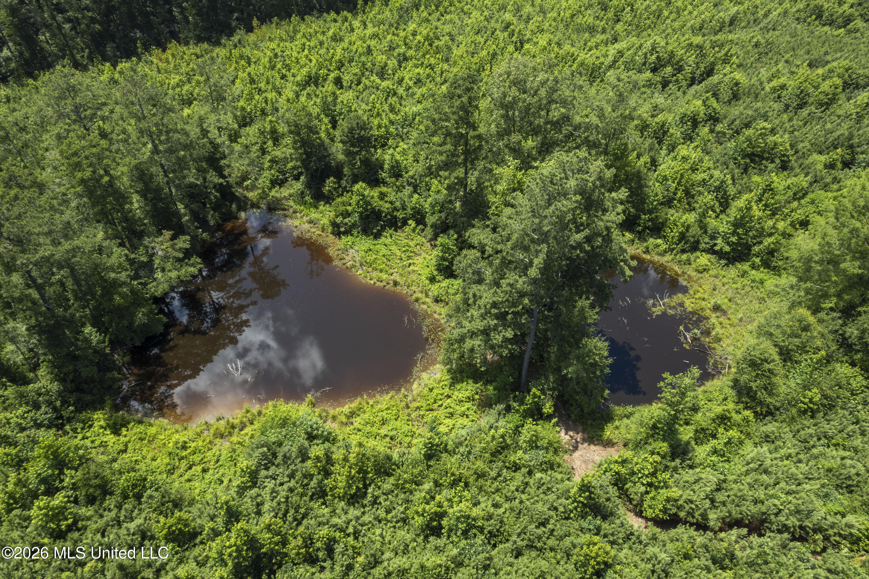 13 Co Road Louin, MS 39338 - Photo 17 of 29 DJI_0327