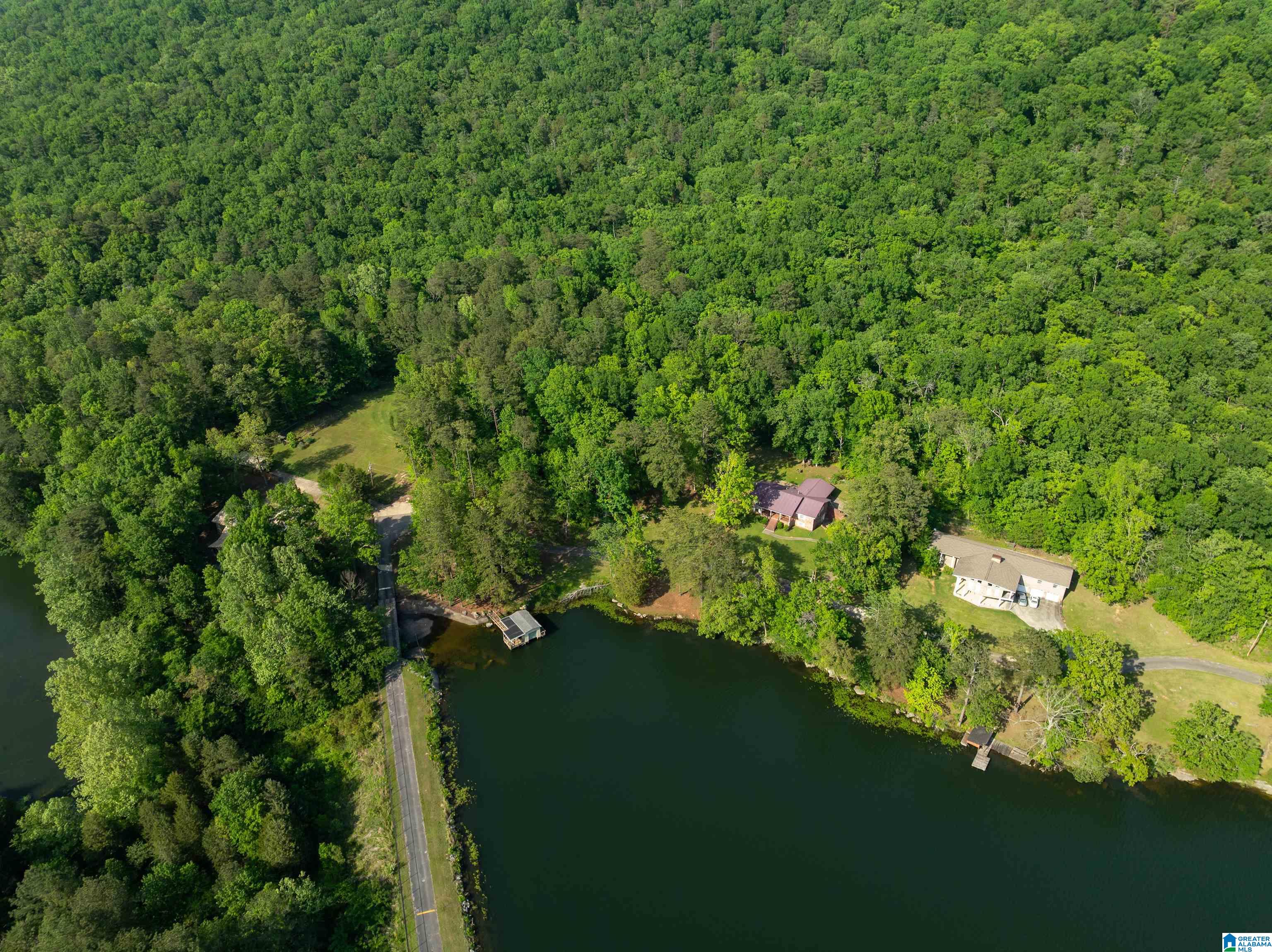 9235 Jade Lake Road East Remlap, AL 35133 - Photo 47 of 48