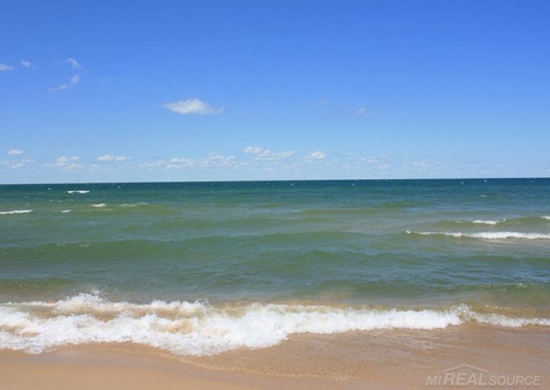 6311 Lakeshore Road Lexington, MI 48450 - Photo 80 of 82 50044038-81.JPG