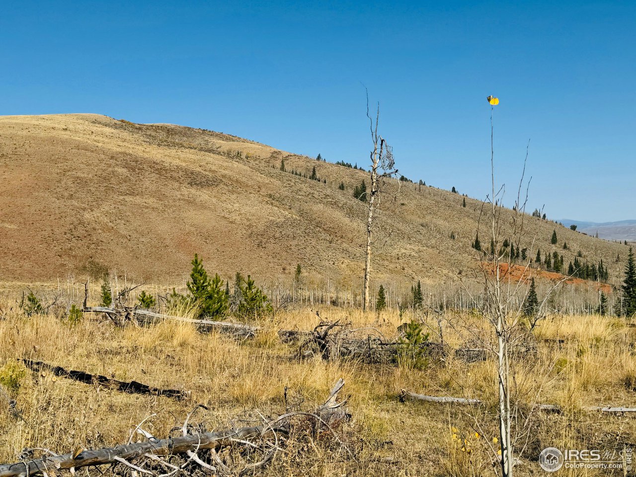 0 Parsons Draw Road Cowdrey, CO 80434 - Photo 21 of 40 a view of a field