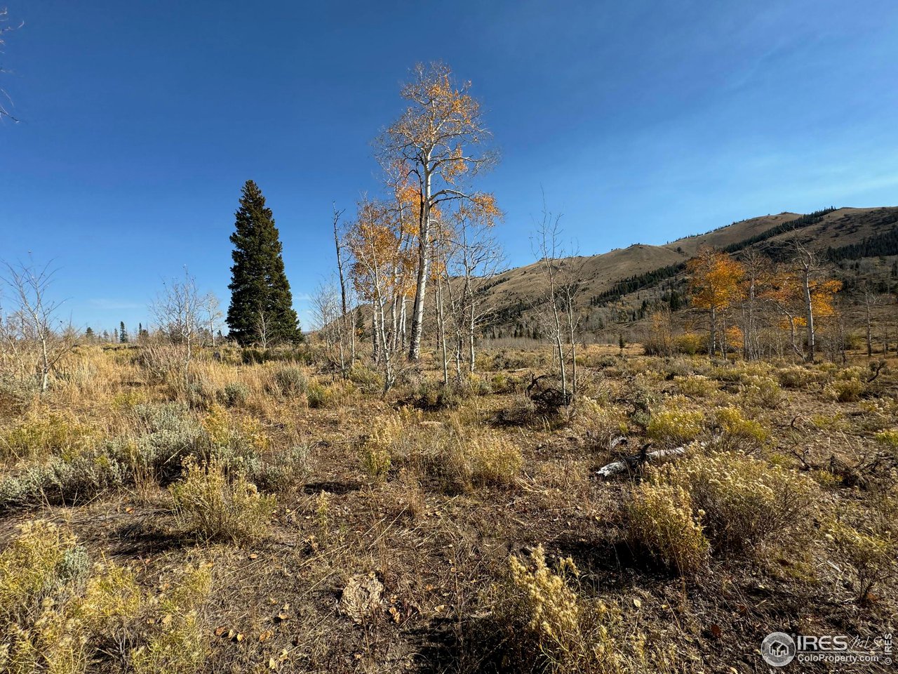 0 Parsons Draw Road Cowdrey, CO 80434 - Photo 22 of 40 a top view of a house with a yard
