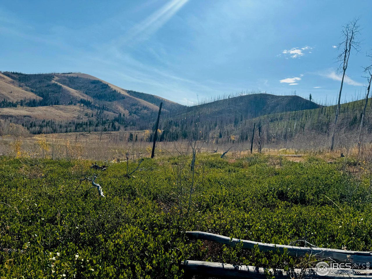 0 Parsons Draw Road Cowdrey, CO 80434 - Photo 23 of 40 a view of a back yard