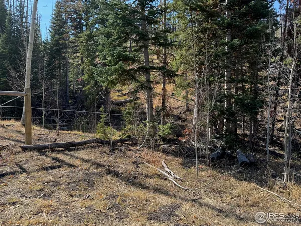 a view of back yard of the house
