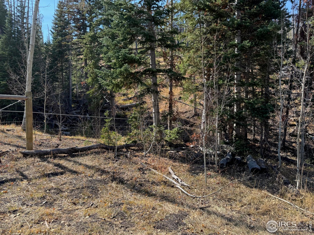 0 Parsons Draw Road Cowdrey, CO 80434 - Photo 31 of 40 a backyard of a house with lots of green space