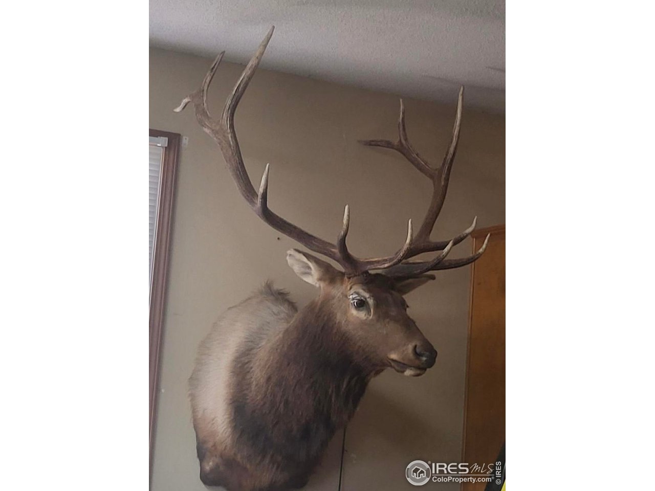 0 Parsons Draw Road Cowdrey, CO 80434 - Photo 36 of 40