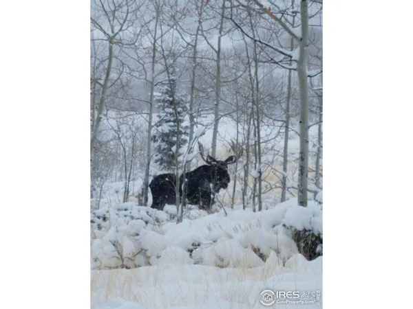$987,000 | 0 Parsons Draw Road, Cowdrey, CO 80434