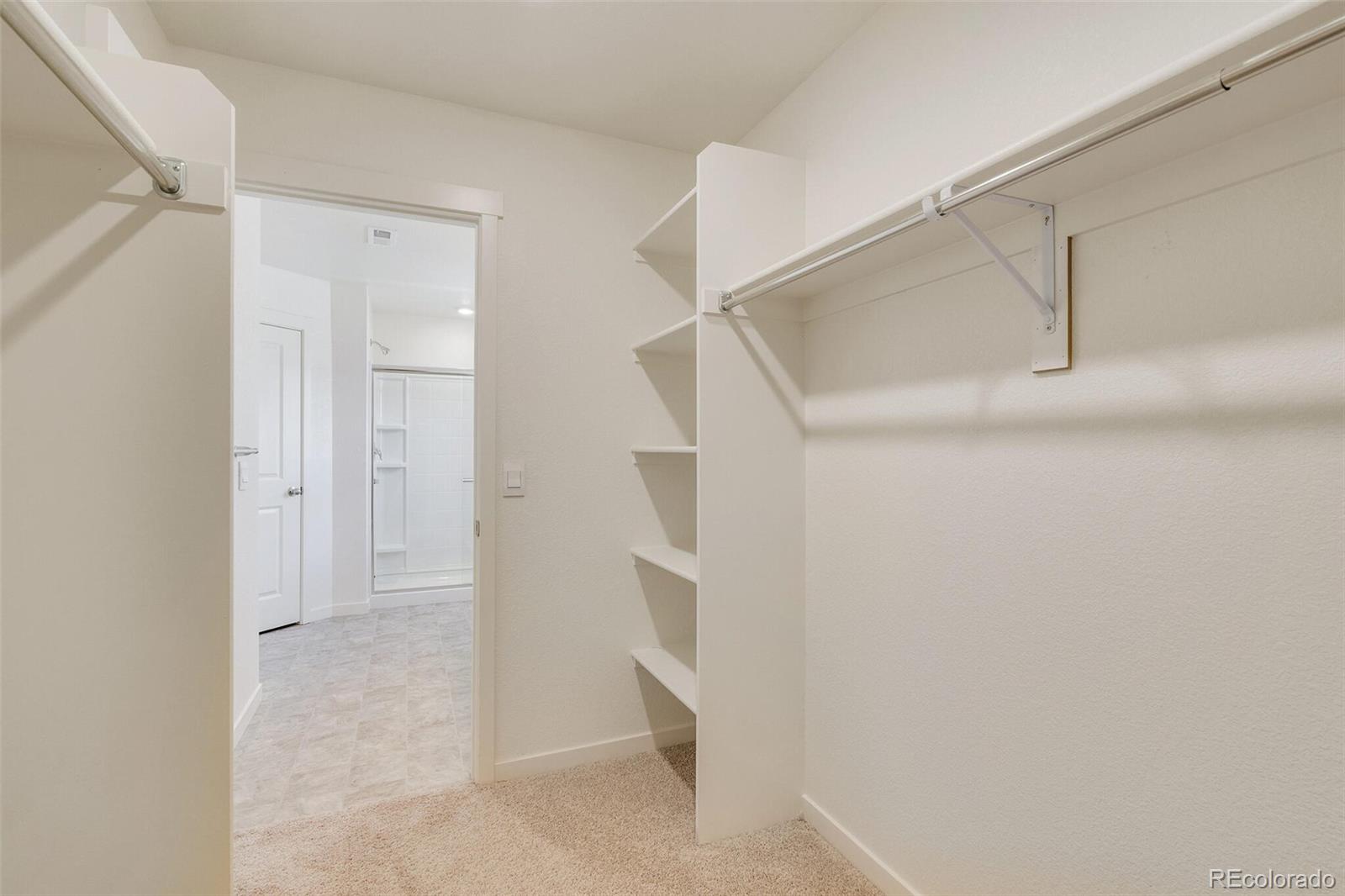 3058 Belleville Ridge Road Elizabeth, CO 80107 - Photo 23 of 31 a view of walk in closet
