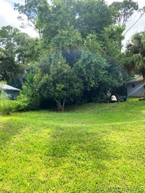 530 Old Mission Road New Smyrna Beach, FL 32168 - Photo 2 of 3 a view of a green yard