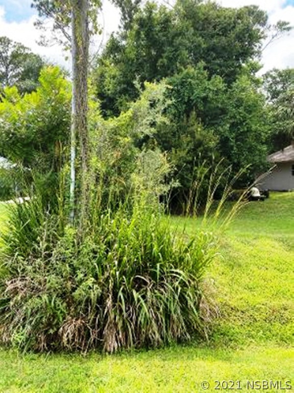 530 Old Mission Road New Smyrna Beach, FL 32168 - Photo 3 of 3 a view of a garden