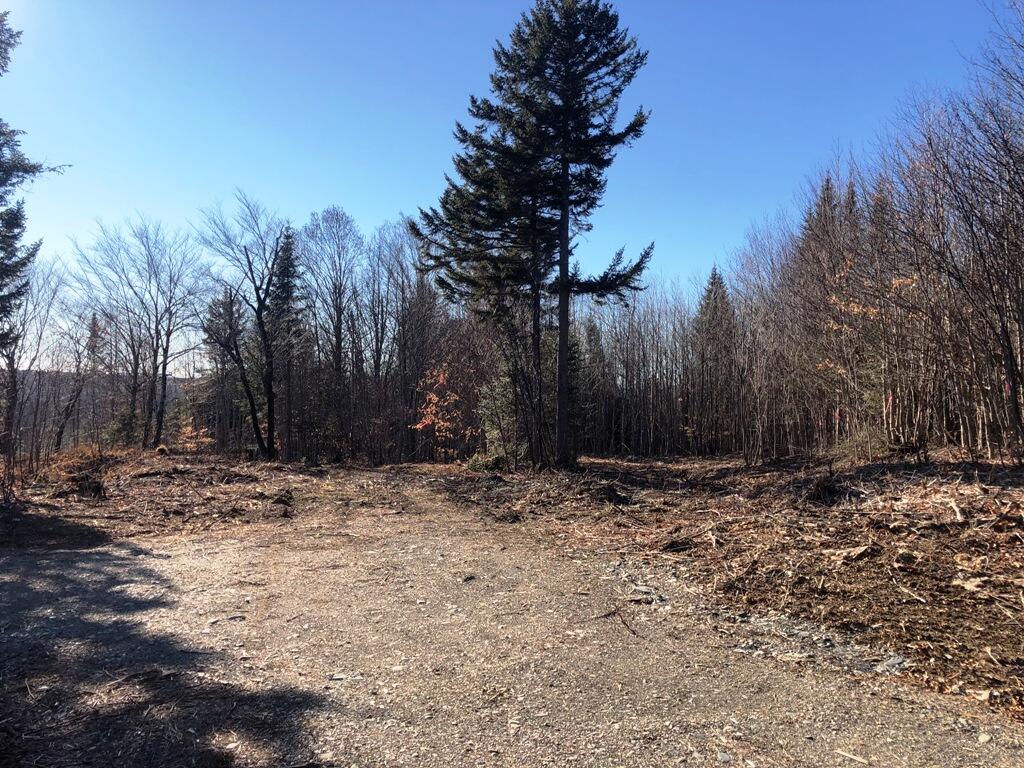 Lot5 Lot5 Alpine Ridge Greenville, ME 04441 - Photo 3 of 4 IMG_4997