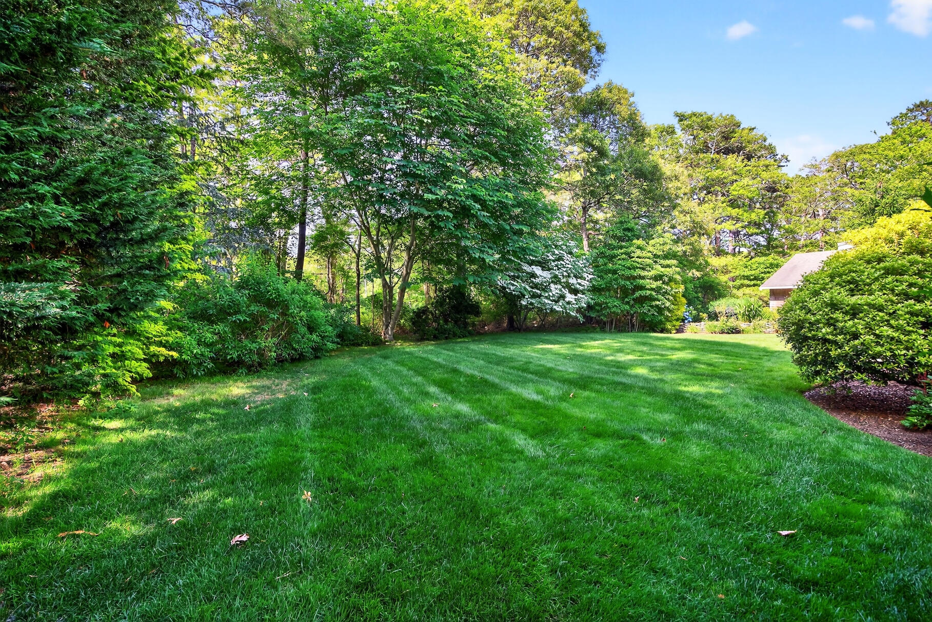 69 Russet Road Brewster, MA 02631 - Photo 60 of 69 8P0A0688