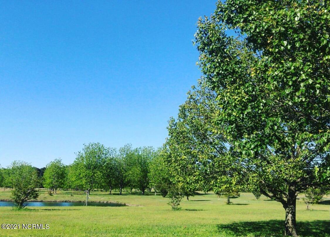 3128 Neuse Road Kinston, NC 28501 - Photo 48 of 74 IMG_8417