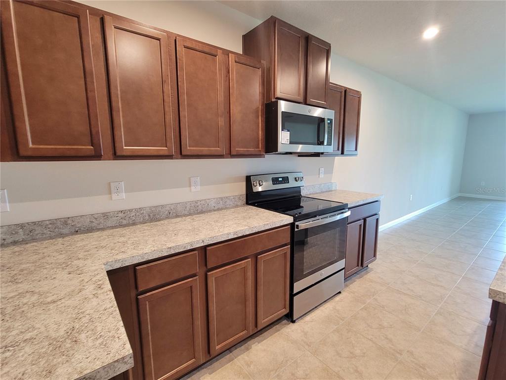 18008 Turning Leaf Circle Land O Lakes, FL 34638 - Photo 21 of 54 a kitchen with a sink and a microwave