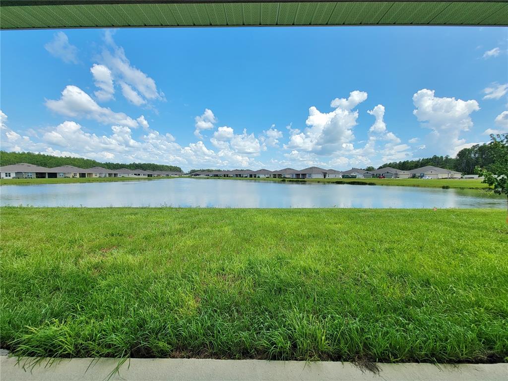18008 Turning Leaf Circle Land O Lakes, FL 34638 - Photo 47 of 54 a view of a lake