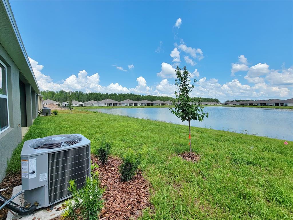 18008 Turning Leaf Circle Land O Lakes, FL 34638 - Photo 50 of 54 a view of a garden with a fountain