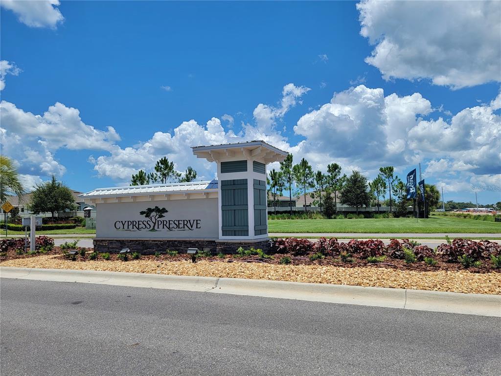 18008 Turning Leaf Circle Land O Lakes, FL 34638 - Photo 54 of 54 a front view of a house with a garden and trees