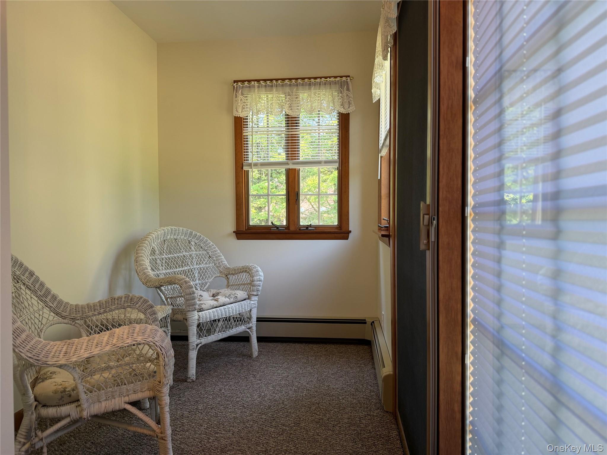 173 St Elmo Road Wallkill, NY 12589 - Photo 8 of 18