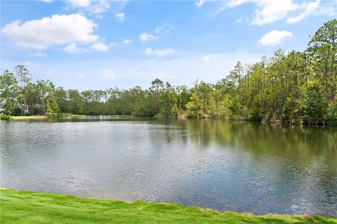 111 Stillwater Drive St. Simons Island, GA 31522 - Photo 40 of 51