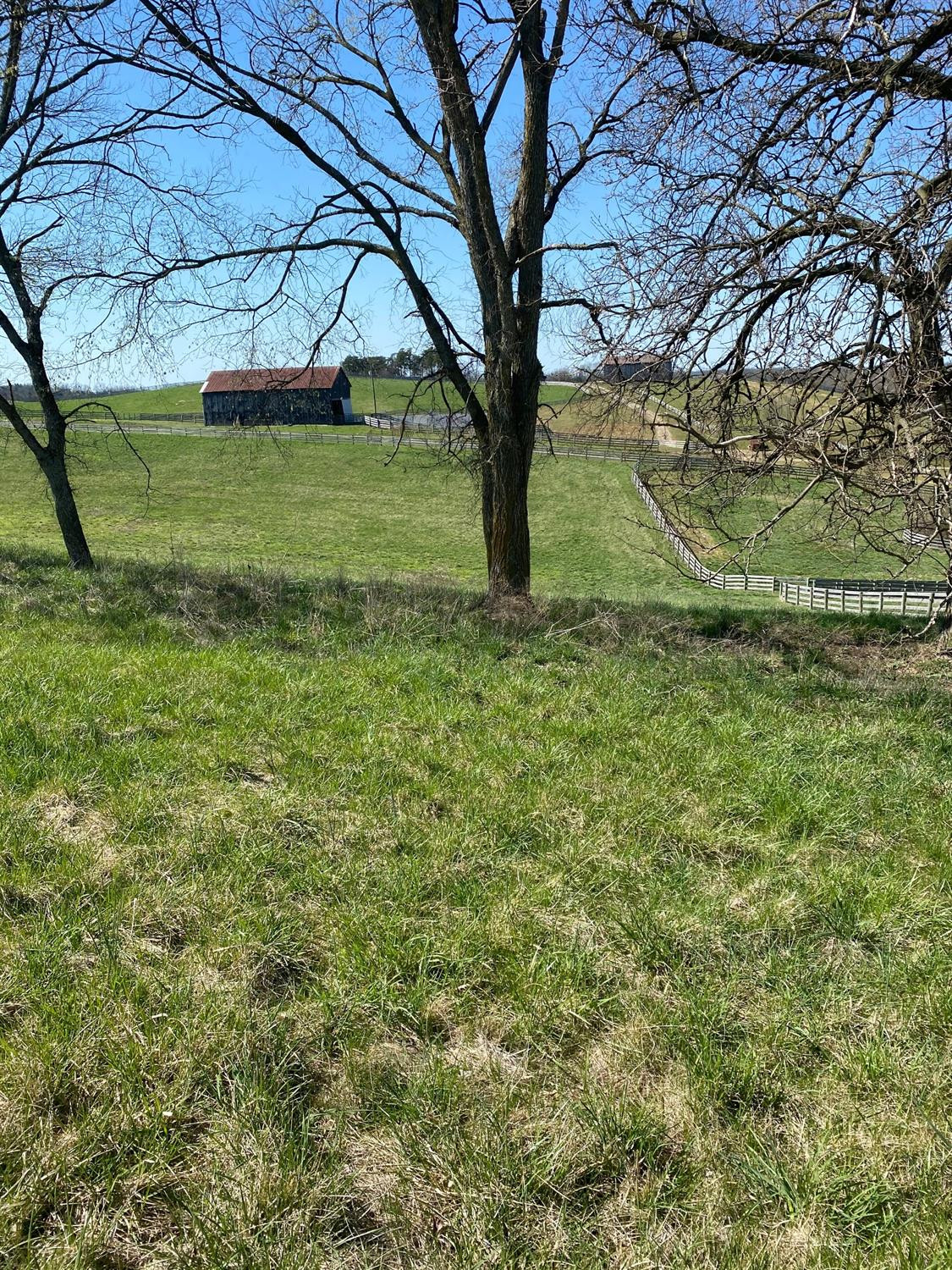 3450 Cane Ridge Road Paris, KY 40361 - Photo 57 of 72 Photo 57
