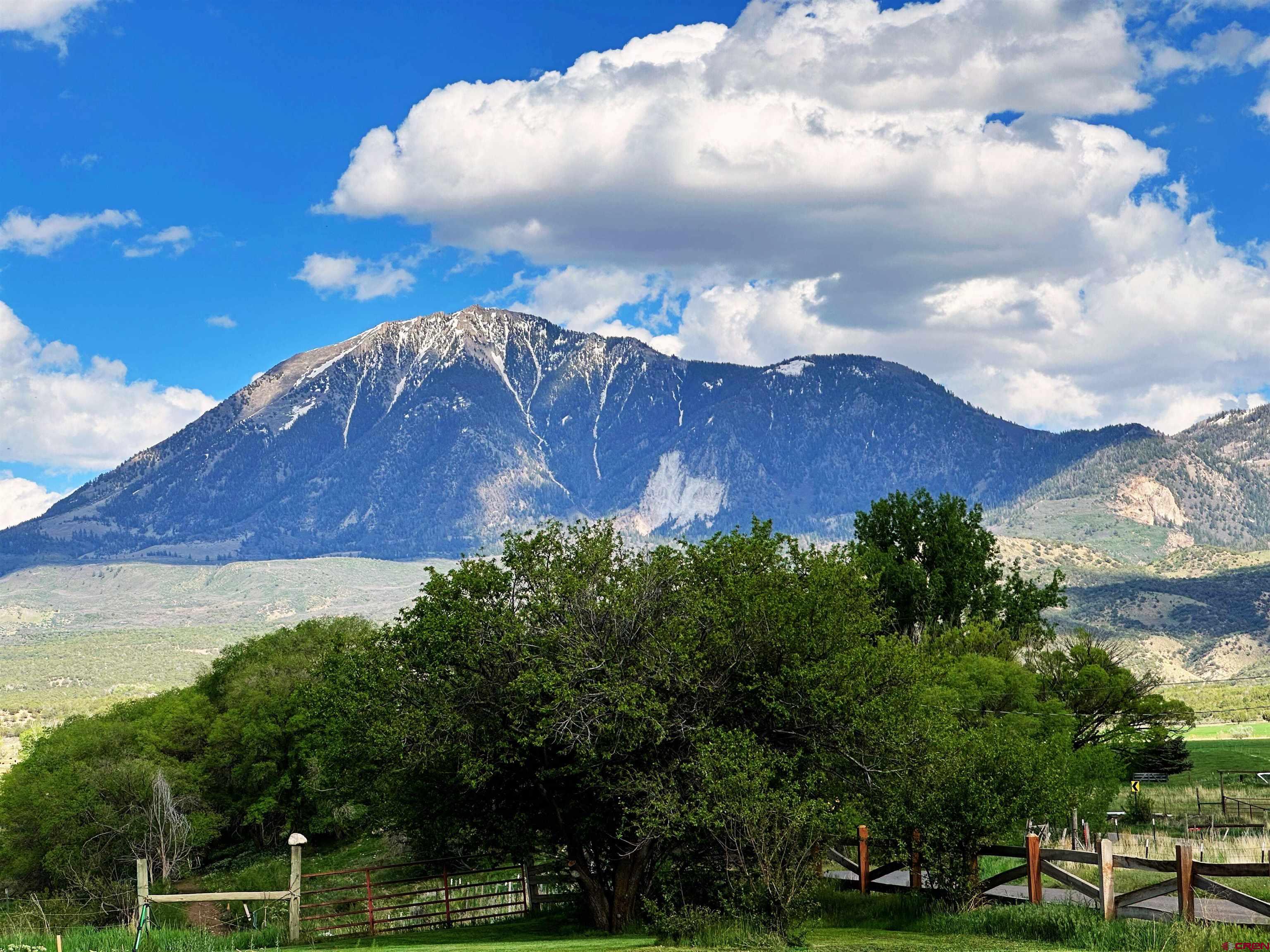 11253 Crawford Road Paonia, CO 81428 - Photo 38 of 44 a view of a yard in front of house with a yard