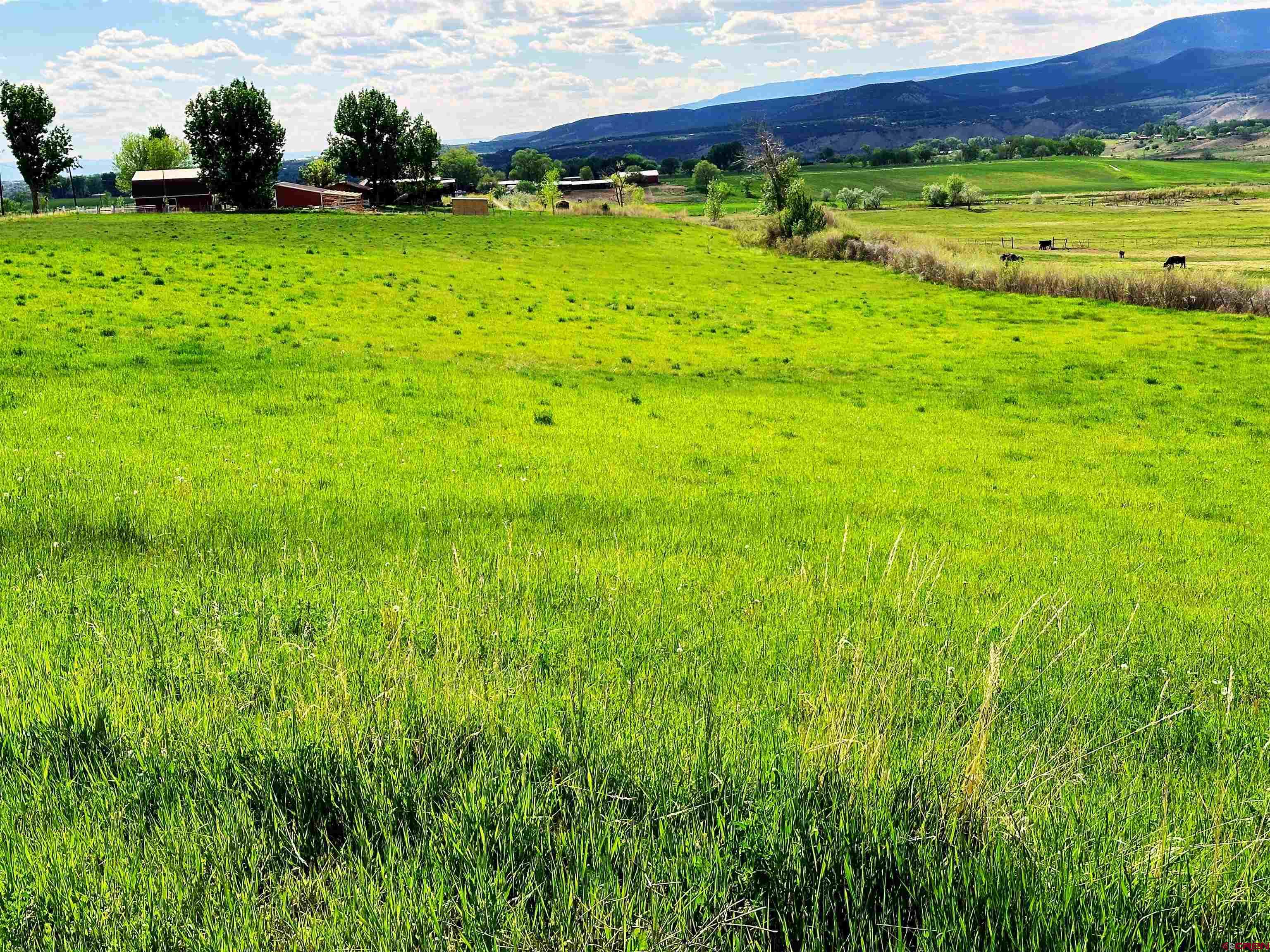 11253 Crawford Road Paonia, CO 81428 - Photo 44 of 44 a view of an outdoor space and a yard